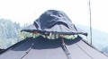 Jurten-Abdeckhaube(8er) mit Fiberglasgest�nge, schwarz