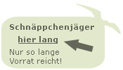 Hier lang f&uuml;r Schn&auml;ppchenj&auml;ger